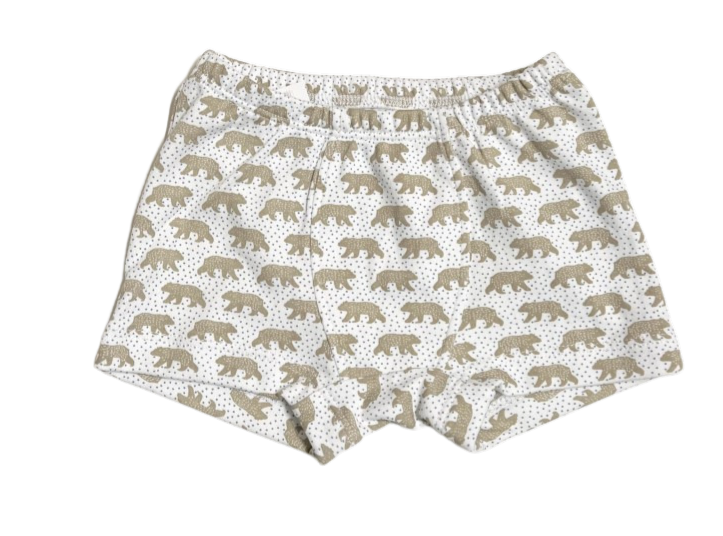 Bears In The Snow Boxers